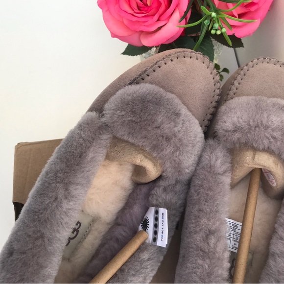 UGG Dakota Spill Seam - Picture 8 of 8